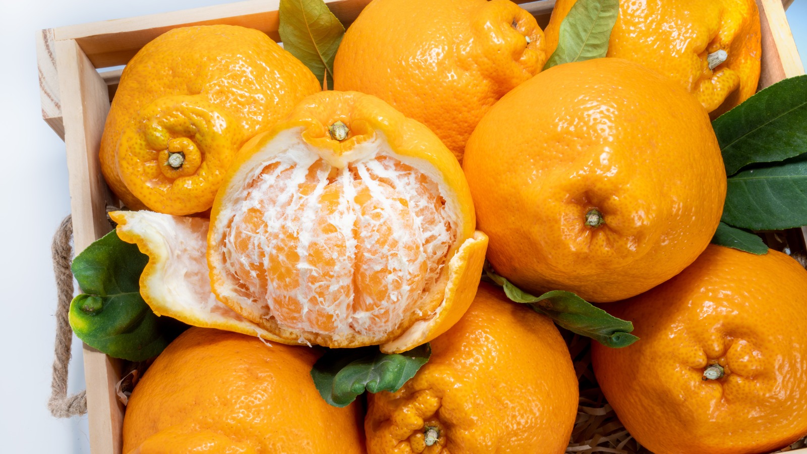 What Is Sumo Citrus?